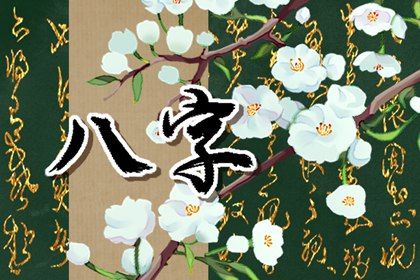 流年运势：动态视角